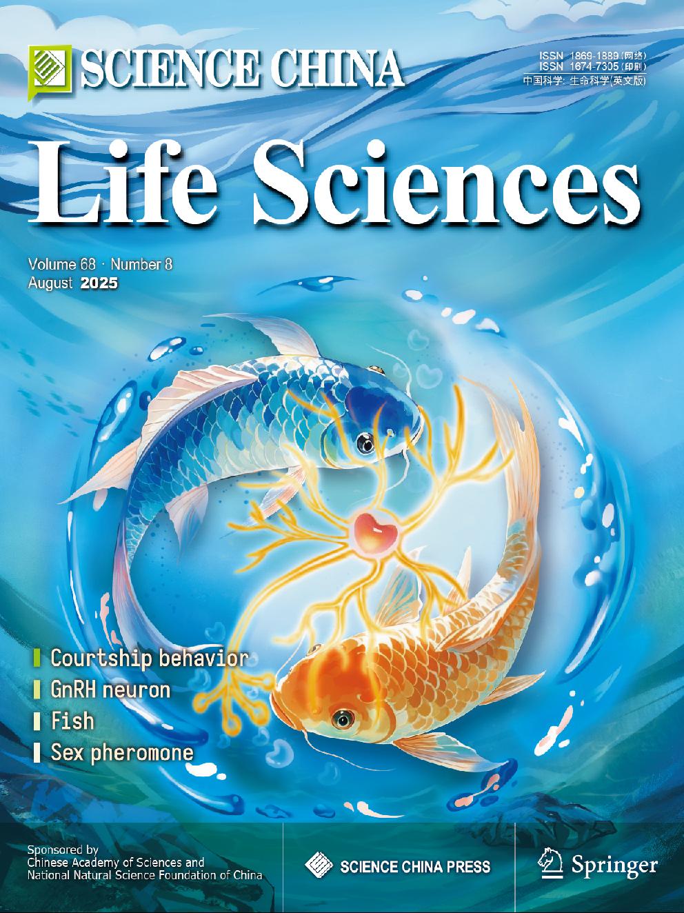 水生所發現GnRH3神經元是開啟斑馬魚求偶行為之門的隱窩嗅覺感覺神經元